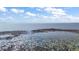 Open water and blue sky view of lily pads on a sunny day on the lake at 1702 N County Road 452, Eustis, FL 32726