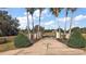 Long driveway leading to a beautiful house with rows of palm trees alongside it at 1825 Myrtle Lake Ave, Fruitland Park, FL 34731