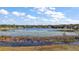 Scenic lake view showcasing lily pads, grasses, and beautiful blue skies with scattered clouds at 1825 Myrtle Lake Ave, Fruitland Park, FL 34731