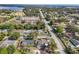 Aerial view of a neighborhood with mature trees, lake views and surrounding landscaping at 2384 Orange Capital Ct, Eustis, FL 32726