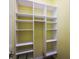 Bright, spacious pantry with ample shelving for storage at 27008 Camerons Run, Leesburg, FL 34748