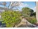 Attractive backyard landscaping featuring decorative rock beds and mature shrubbery at 3319 Thorncrest Dr, The Villages, FL 32162