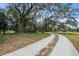 Long winding driveway leading to the main house at 9210 County Road 48, Yalaha, FL 34797