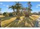 Beautiful front yard with lush green lawn, palm trees, and well-maintained landscaping at 12455 Se 92Nd Ter, Summerfield, FL 34491