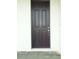 Elegant brown front door featuring detailed paneling and a stylish handle at 14365 Crest Palm Ave, Windermere, FL 34786
