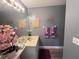 The bathroom has a single sink vanity, large mirror, and modern lighting at 167 N Cervidae Dr, Apopka, FL 32703
