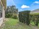 Well-maintained backyard featuring lush greenery, trimmed bushes, and a grass lawn at 17652 Se 120Th Ter, Summerfield, FL 34491