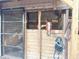 A well-maintained horse stable with a wooden door where two horses are peeking out at 37807 Felkins Rd, Leesburg, FL 34788