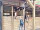 This well-maintained barn features individual stalls for horses, providing comfort and security for equine residents at 37807 Felkins Rd, Leesburg, FL 34788