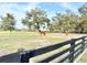 Picturesque pasture with mature trees, wooden fencing and horses grazing in a serene environment at 37807 Felkins Rd, Leesburg, FL 34788
