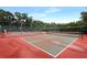 Outdoor pickleball court surrounded by a green fence at 4034 River Crest Cir, Leesburg, FL 34748
