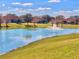 Beautiful water view featuring a scenic pond with fountain and lush landscaping at 10177 Mainsail Dr, Oxford, FL 34484