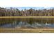 Scenic view of a tranquil pond surrounded by lush greenery at 5449 Dray Dr, The Villages, FL 32163