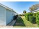 Landscaped backyard with a patio, lawn, and manicured hedges, perfect for outdoor enjoyment and relaxation at 1001 Del Rio Dr, The Villages, FL 32159