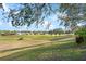 Picturesque backyard with rolling hills and mature trees overlooking the property at 1067 Mesa Verde Court, Clermont, FL 34711