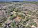 Aerial view of a home with a rural setting amidst mature trees and a spacious, fenced yard at 11915 Cr 680, Webster, FL 33597