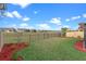 Spacious backyard featuring lush green grass, decorative red mulch and a wrought iron fence with views of the greenbelt at 123 Bayou Bend Rd, Groveland, FL 34736