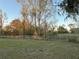 Fenced yard with green space and trees at 22244 County Road 455, Howey In The Hills, FL 34737