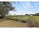 Serene backyard view featuring lush greenery, mature landscaping, and a black fence bordering a golf course at 24548 Calusa Blvd, Eustis, FL 32736