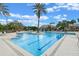 Community pool with lap lanes, shallow area and seating, surrounded by palm trees and lounge chairs at 27710 Snow Orchid Ct, Leesburg, FL 34748