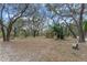 Charming gazebo nestled among trees with benches, offering a serene spot for relaxation and enjoying nature at 27710 Snow Orchid Ct, Leesburg, FL 34748