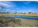 Scenic community view features a tranquil pond and well-maintained landscaping at 305 Ranchwood Dr, Leesburg, FL 34748