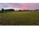 Expansive backyard featuring lush green grass with pink clouds at 10909 Mattioda Rd, Groveland, FL 34736