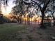 Expansive backyard featuring mature trees draped in Spanish moss with a sunset view at 10909 Mattioda Rd, Groveland, FL 34736