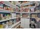 Well-organized pantry with ample shelving and storage for all your kitchen essentials at 10909 Mattioda Rd, Groveland, FL 34736