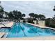 Community pool with a long lap pool and several palm trees surrounding the area at 11943 Iselle Dr, Orlando, FL 32827