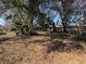 Photo of the spacious backyard with mature trees and plenty of shade at 13 Spring Loop, Ocala, FL 34472