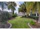 Lush backyard featuring well-maintained landscaping and mature palm trees for added privacy at 2022 Abordale Ln, The Villages, FL 32162