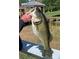 Angler holding up very large Largemouth Bass caught near the lake dock at 2422 Topping Pl, Eustis, FL 32726