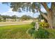 Beautiful front lawn with mature trees, water feature and view of community at 25605 Belle Alliance, Leesburg, FL 34748