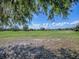 Expansive golf course view framed by trees against a bright, partly cloudy sky at 320 Bentwood Dr, Leesburg, FL 34748