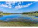 Scenic view of the lake with aquatic vegetation, with a blue sky and fluffy clouds reflecting off the calm water at 631 Old Mount Dora Rd, Eustis, FL 32726