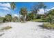 Private white sand beach with mature palm trees, vegetation and direct waterfront access at 840 2Nd St, Clermont, FL 34711