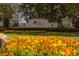 Landscaped entrance to Lakes of Mount Dora, an active adult community, with colorful flowers at 8682 Bridgeport Bay Cir, Mount Dora, FL 32757