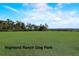 Open green space at the dog park, providing ample room for dogs to run and play at 977 Timberview Rd, Clermont, FL 34715