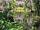 View of a pond surrounded by greenery at 11243 Dead River Rd, Tavares, FL 32778