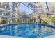 A pool with a light blue water with an overhead screen enclosure at 11243 Dead River Rd, Tavares, FL 32778