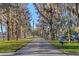 A beautiful picturesque street lined with mature trees and lush landscaping at 11243 Dead River Rd, Tavares, FL 32778