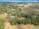 Overhead view of land showcasing lush trees, sprawling fields, and clear skies on a sunny day at 12220 County Road 209, Oxford, FL 34484