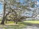 Picturesque view of moss-draped trees and a verdant pasture, enhancing the property's natural beauty at 12220 County Road 209, Oxford, FL 34484