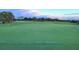 Scenic view of the manicured golf course at sunset at 1263 Legendary Blvd, Clermont, FL 34711