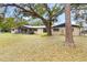 Home exterior featuring mature oak trees and a shaded yard at 14100 Ne 46Th St, Silver Springs, FL 34488