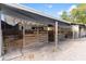 Well-maintained horse stalls with shelter and ample space, designed for equestrian comfort and convenience at 14100 Ne 46Th St, Silver Springs, FL 34488