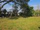 Backyard view shows large trees and lush grass at 301 Clark St, Maitland, FL 32751