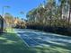 Well-maintained tennis court with new surface and net surrounded by lush trees at 3605 Conroy Rd # 535, Orlando, FL 32839