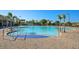 Large community pool surrounded by lush landscaping and palm trees at 3808 Serena Ln, Clermont, FL 34711